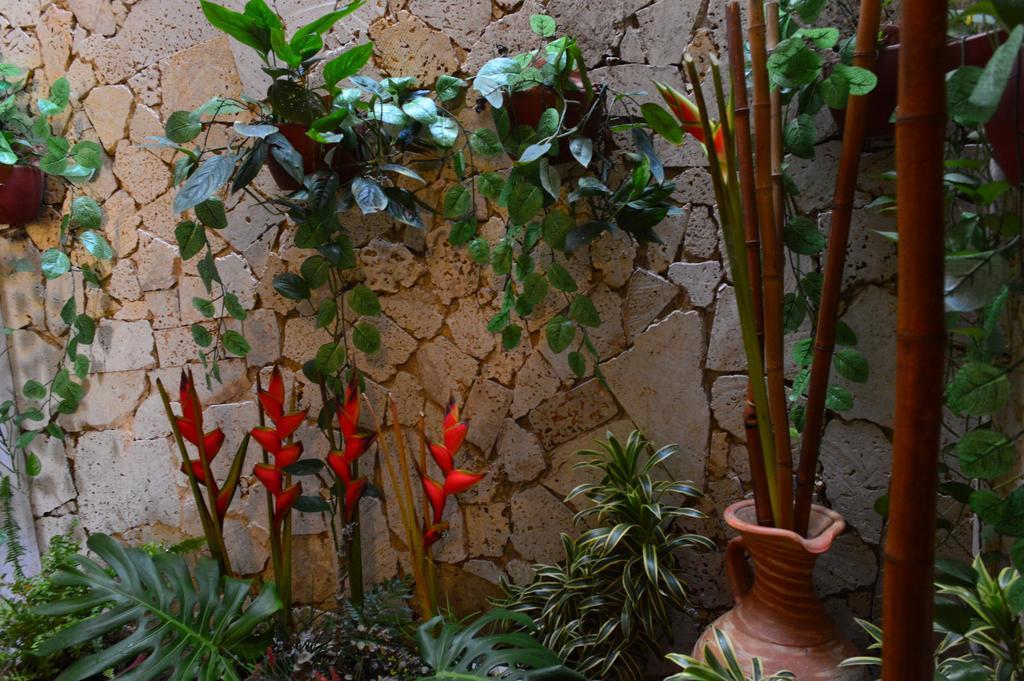 Hotel Torre Del Reloj Cartagène Extérieur photo